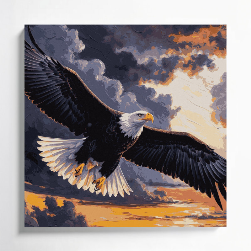 Oiseaux, aigle à queue blanche, toile grise, H 12 po x l 12 po