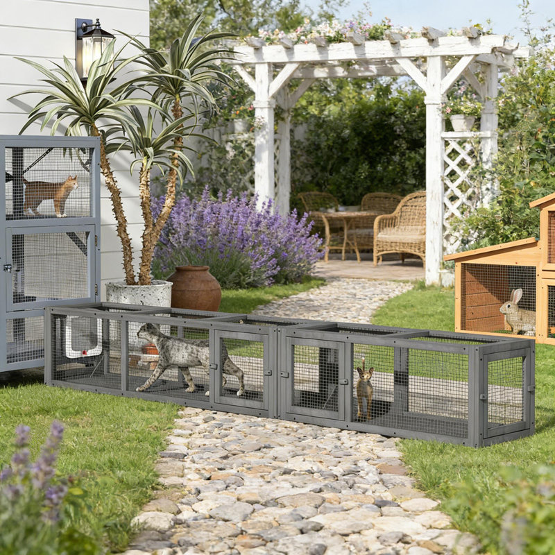 Tunnel pour chat en bois