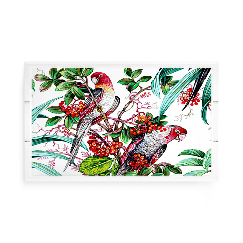 Plateau décoratif rectangulaire perroquet rouge acrylique, 12.5" W x 7.75" D x 2" H