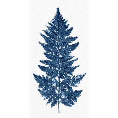 Blue Fern 4 Print