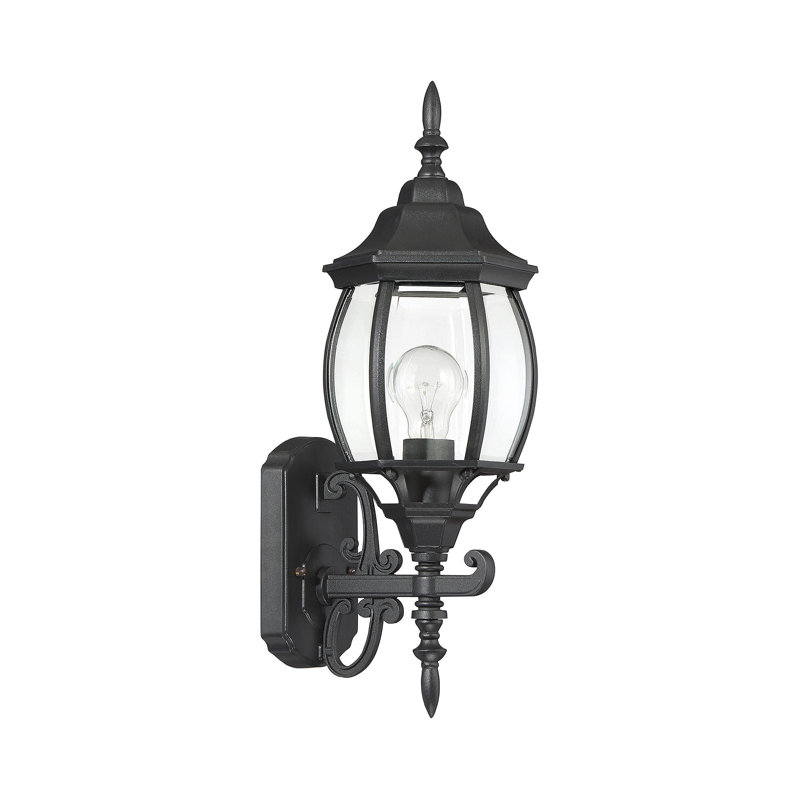 Lanterne murale d'extérieur 1 lumière Meridian