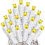 Guirlande lumineuse 50 lumières-1298746617
