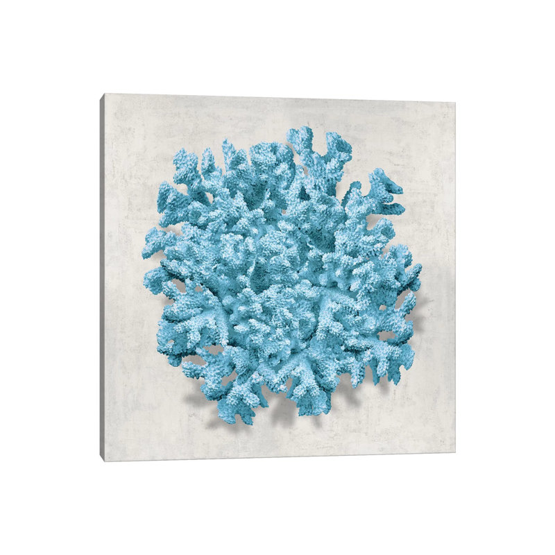 Coral Aqua II by Caroline Kelly - Wrapped Canvas Print, 30.48 cm H x 30.48 cm W