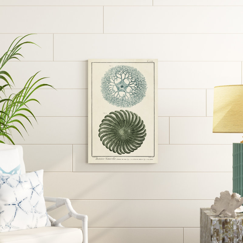Ocean Oddity I, H 30 po x l 20 po x P 1,25 po