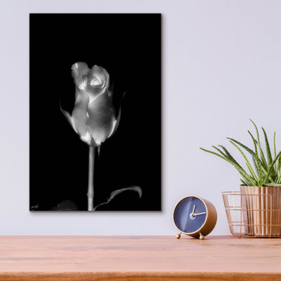 Epic Art Rose Xray 6 by Life BeautifuLEE Acrylic Glass Wall Art 12 x 16