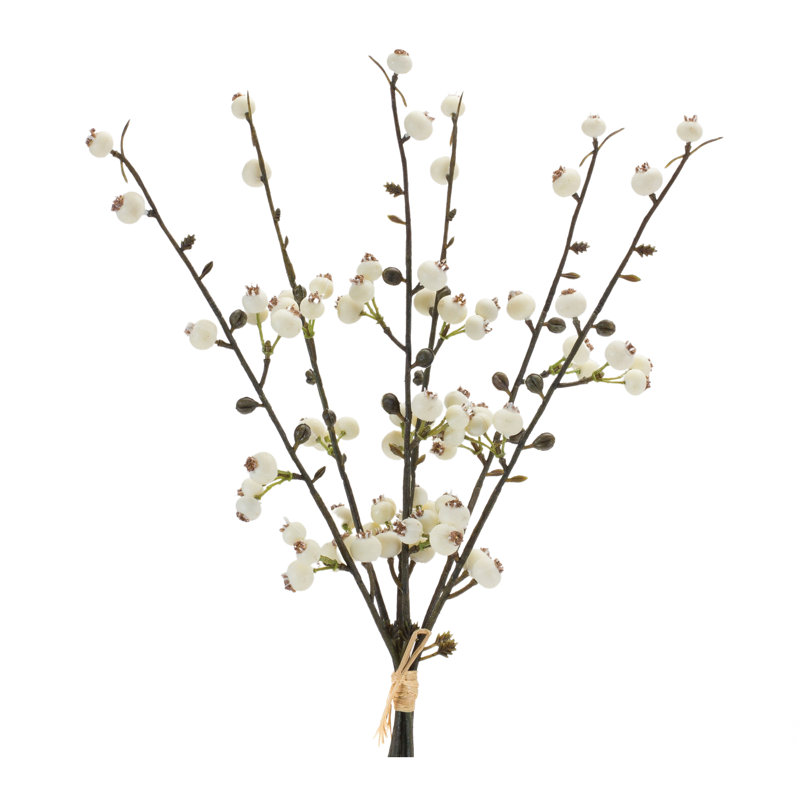 Tiges de baies, H 14,5 po x l 6 po x P 8 po, Vert / blanc