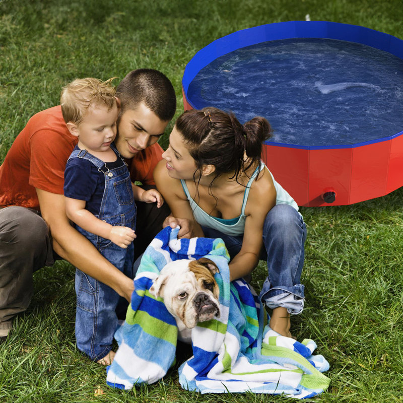 PETMAKER 47x12in Foldable Dog Pool, Red, 12" H x 47" W x 47" D, Red