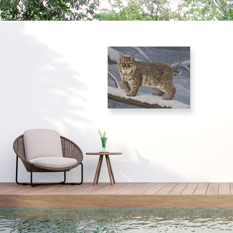 Toile d'extérieur Jeff Hoff Bobcat, H 14 po x l 19 po