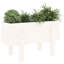 Meenakshi Wood Raised Garden Bed-1774958733-1774958725-1774958731