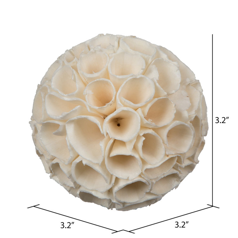 3.2'' Plant