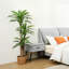 Adcock Artificial Dracaena Tree in Pot-737176448