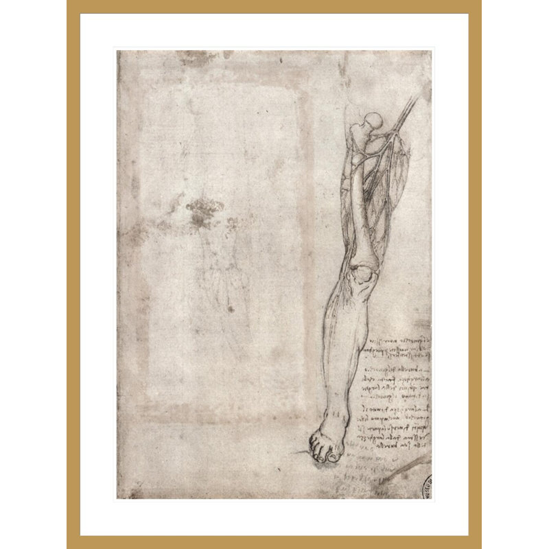 Dessin d'une patte humaine par Leonardo Da Vinci, impression giclée sur cadre, H 41,5 po x l 31,38 po