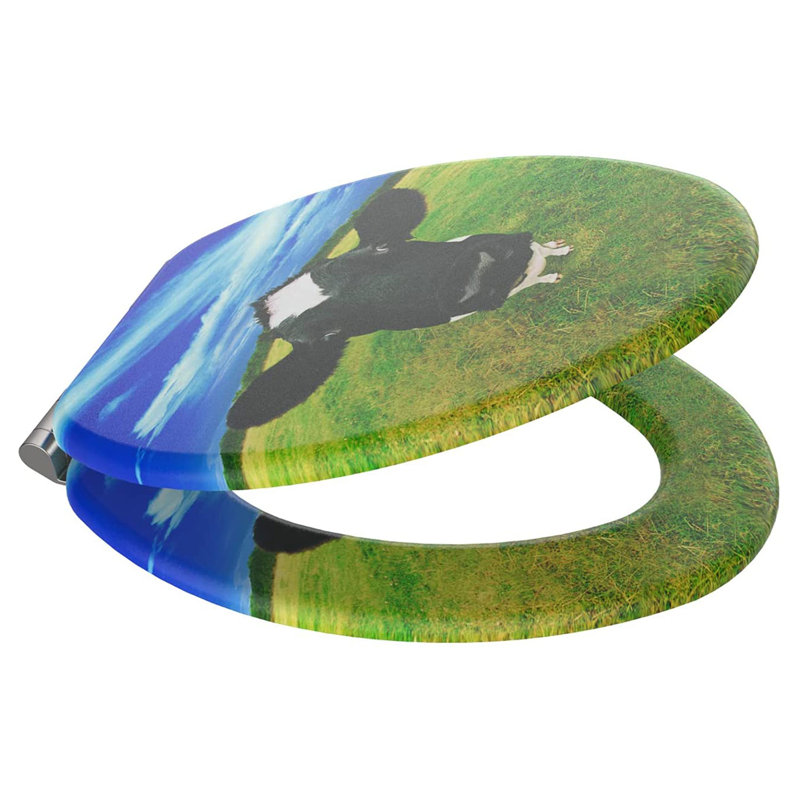 Elongated Toilet Seat and Lid