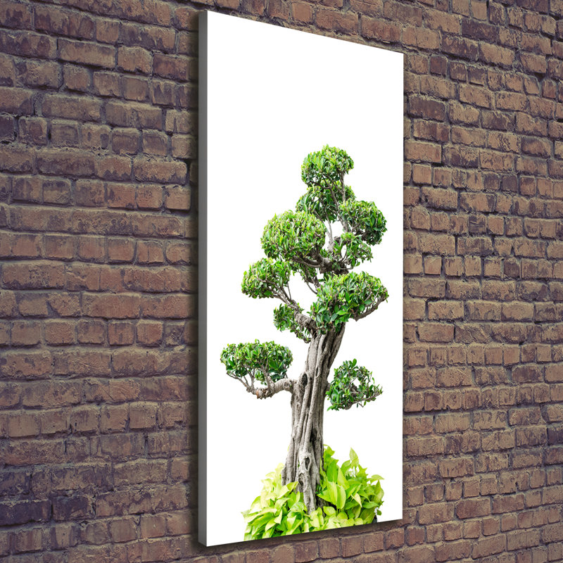 Bonsai Tree - Wrapped Canvas Print