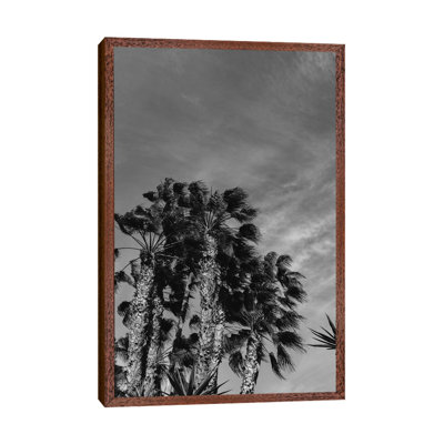 Monochrome California Sky by Bethany Young - Print on Canvas