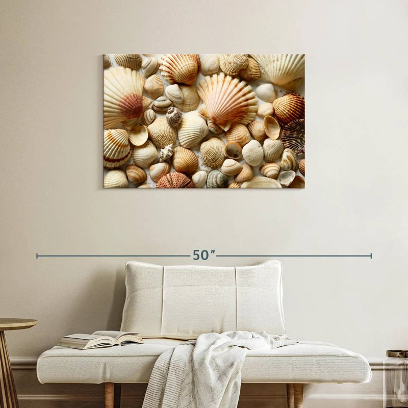 Various Seashells, 24" H x 36" W
