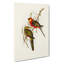 Earl Of Derby's Parakeets by R.J. Thornton - Wrapped Canvas Painting-55342657
