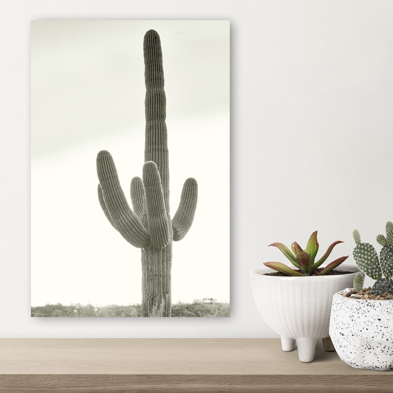 Arizona Saguaro View Abstract Contemporary Cactus Landscape Nature Wall Art Print 1 Piece Wrapped Canvas Wall Art