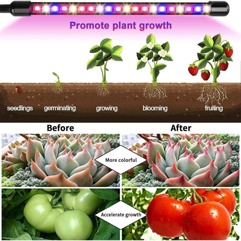 Maker Network Grow Light