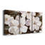 Fleurs blanches chocolatées I - Toile tendue avec châssis de qualité supérieure - Prêt à être accroché-560721532