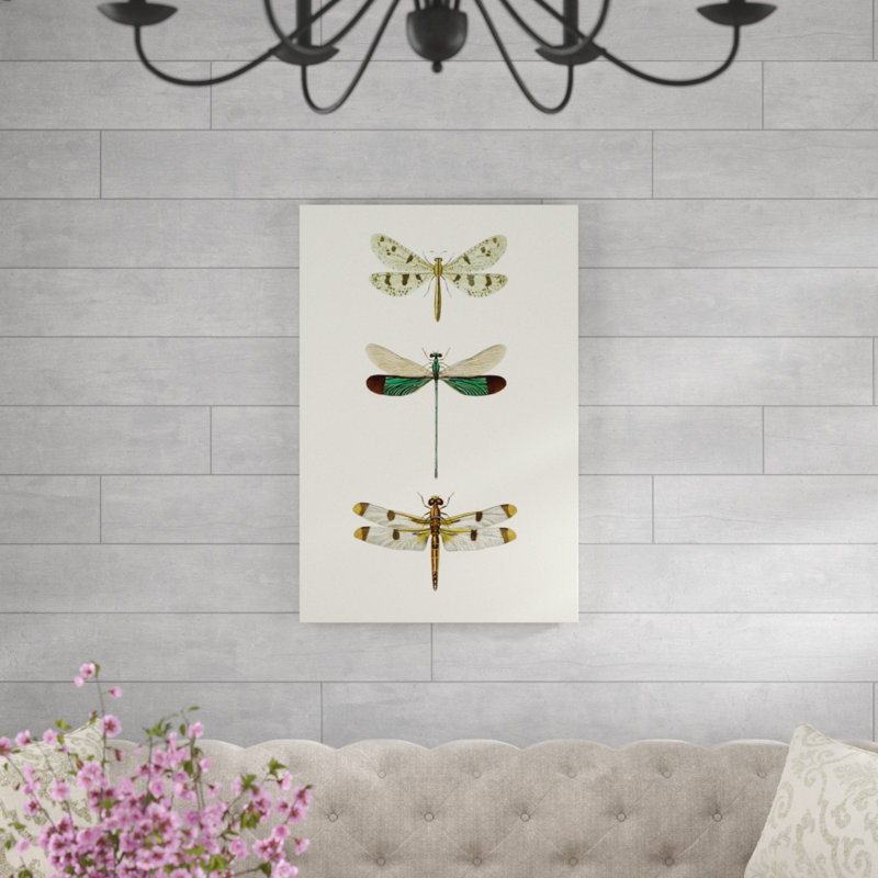 «Entomology Series VII», peinture sur toile, H 36 po x l 24 po