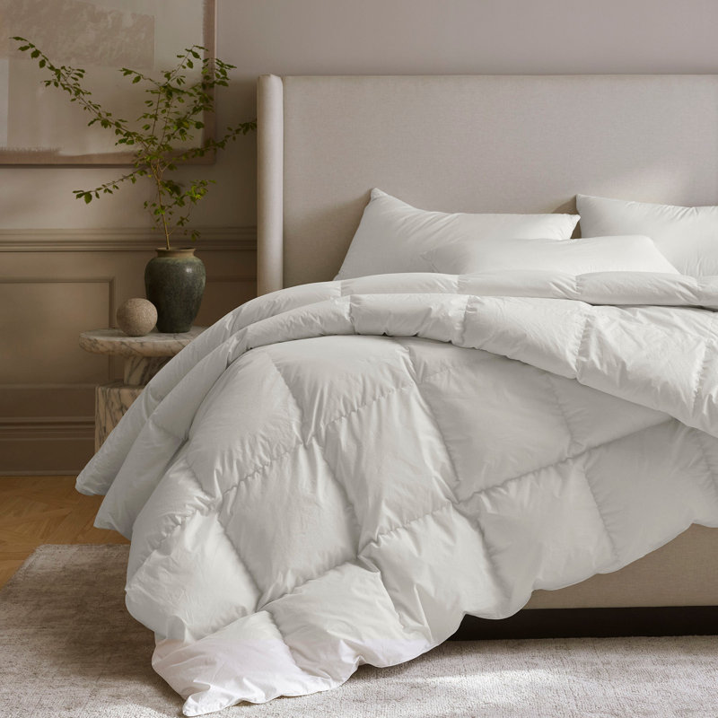 Down Duvet Insert, Queen, All Season