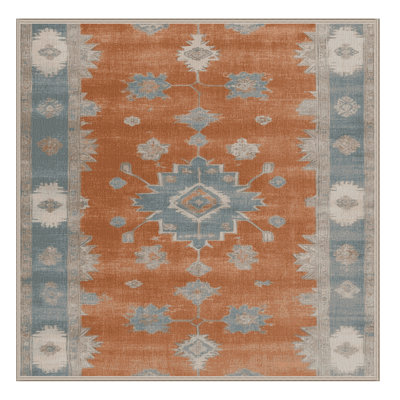 Machine Washable Overdyed Brown Area Rug