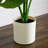 20In. Artificial Swiss Monstera Plant