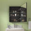 Arrionna W H Surface Frameless Medicine Cabinet Mirror 2 Adjustable-1200431584-1200431587