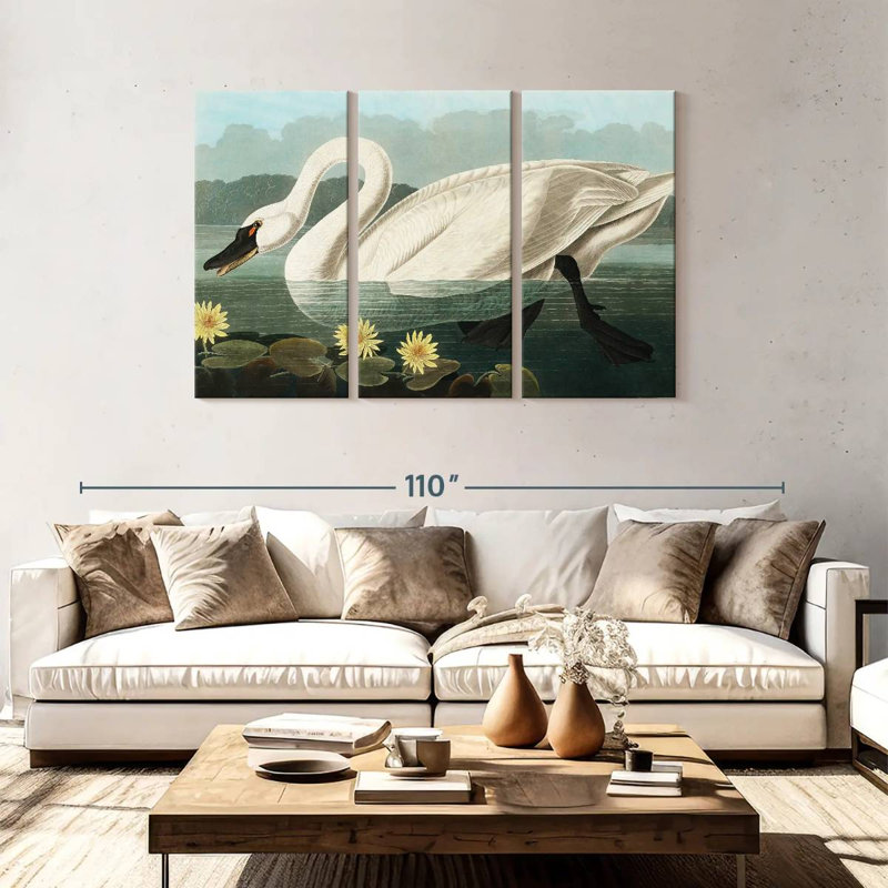 Brampt Common American Swan, 48" H x 74" W