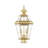 Arelene Lantern Head-21132018