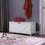 Coffre de rangement, banc de rangement, organisateur de coffre à jouets rétro, banc de rangement d'entrée avec 2 charnières, assemblage facile, blanc