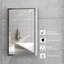 Bathroom Mirrored Cabinet, Vertical Stainless Steel Frame Medicine Cabinet, Wall-Mounted Storage Organizer With Single Door?
