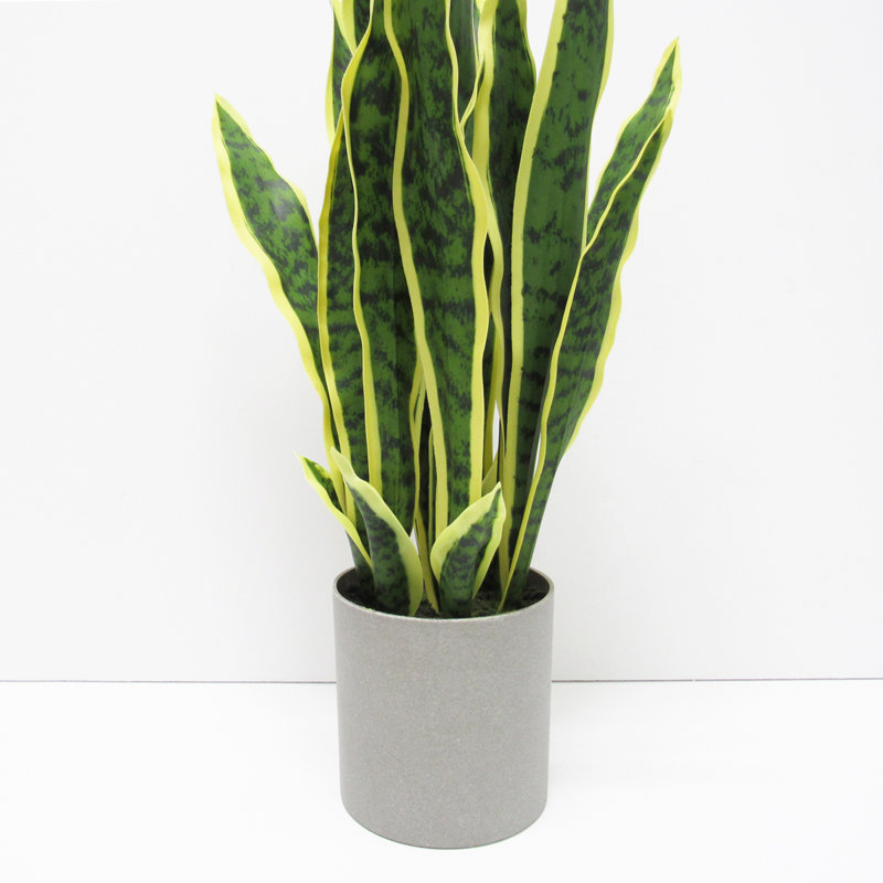 Artificial Sansevieria Snake Plant in Pot, 25'' H x 11'' W x 11'' D