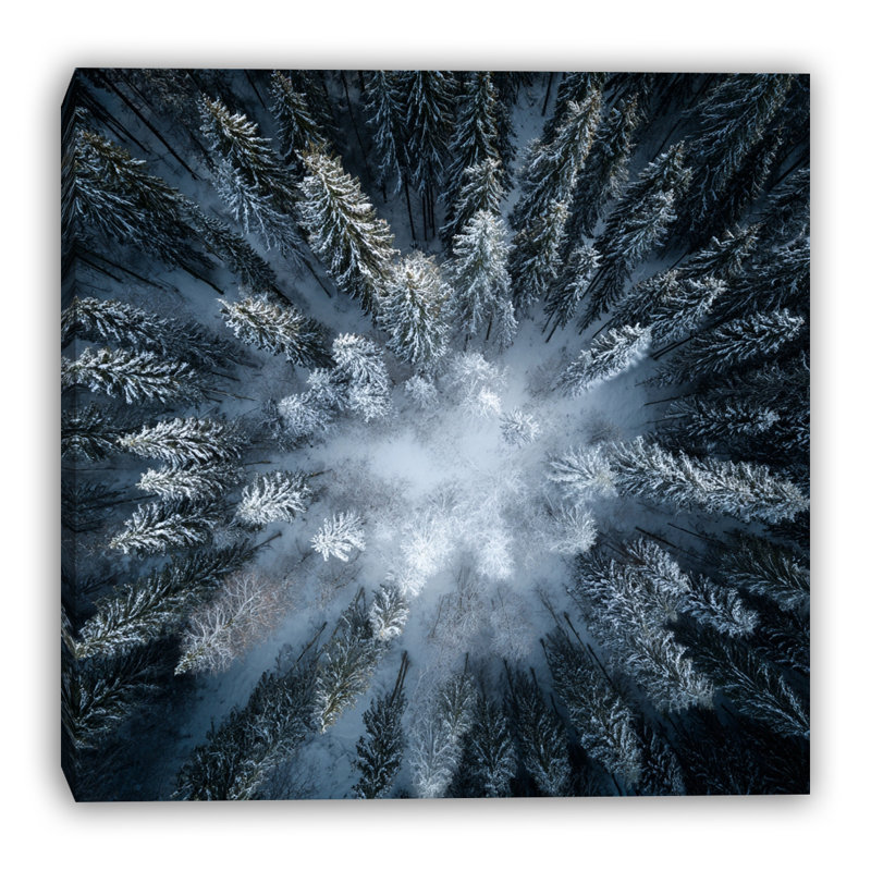 Art mural sur toile aérienne Deep Snow, H 30 po x l 30 po
