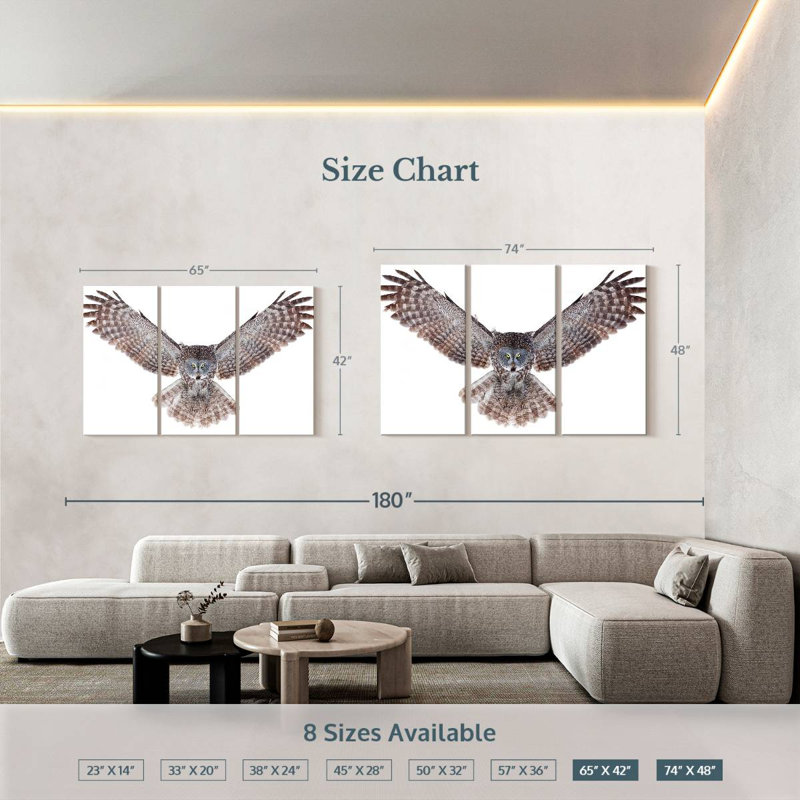 Brampt Owl Power, 42" H x 65" W