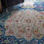 Holbeach Oriental Area Rug-34609520