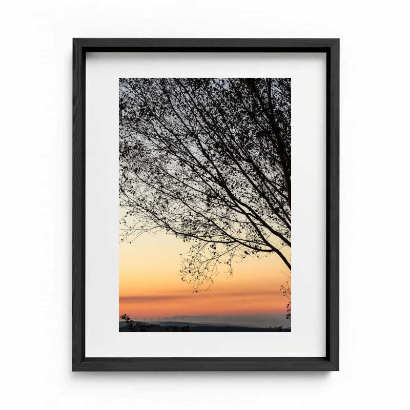 Sunset Tree Print by Joseph Regan, 26" H x 22" W x 0.75" D, Black