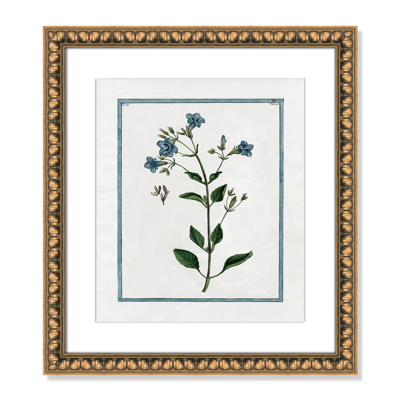 Colombe Shabby Elegance Botanical II - Art encadré, Cadre en perle d'or, L 14 po x H 16 po