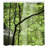 Shower Curtain with Hooks Included-44323233