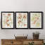 «Abstracting Flowers I», ensemble de 3 peintures sur toile encadrées-1771802723-1771802720