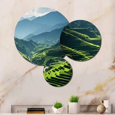 Wall Decor on Metal