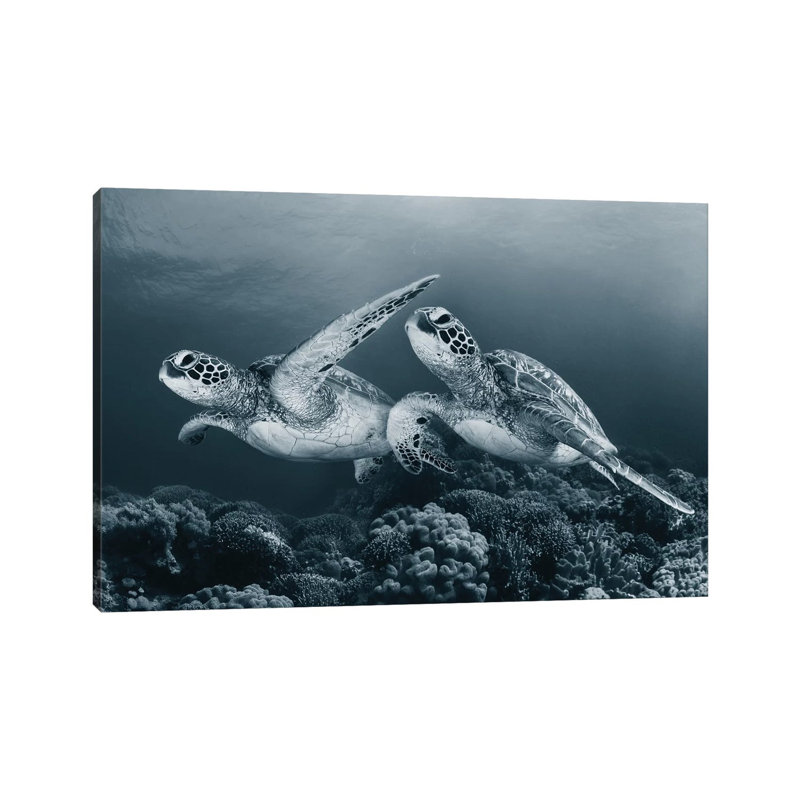 Twin Dance by Andrey Narchuk - Wrapped Canvas Print, 20.32cm H x 30.48cm W x 1.91cm D
