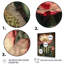 Fleur de cactus en fleur sur toile-432071463-432071460