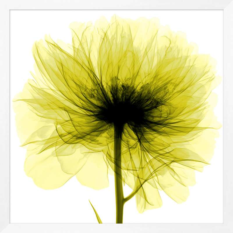 Hand-Picked Lime 1' Framed Graphic Art Print on Glass