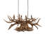 Rustic Lodge 10 - Light Chandelier