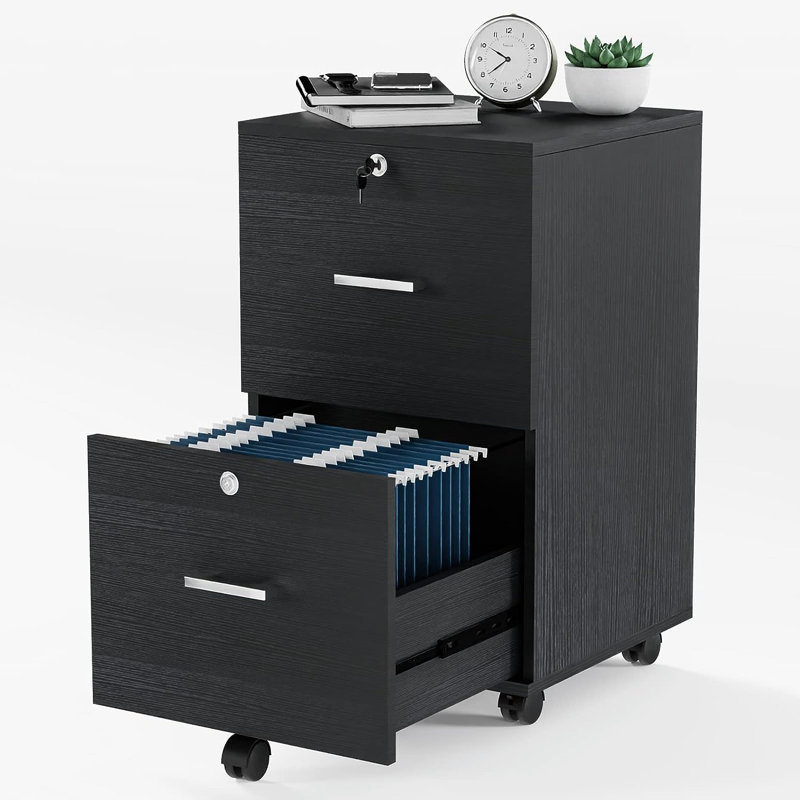 Kayeson 15.7'' Wide 2 -Drawer Mobile File Cabinet, Black