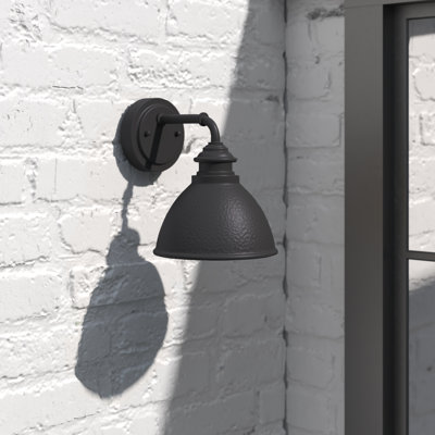 Minnewaukan Steel Wall Light