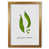 Honey Oak Frame is unavailable