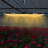LED Plants Dimmable Grow Light 